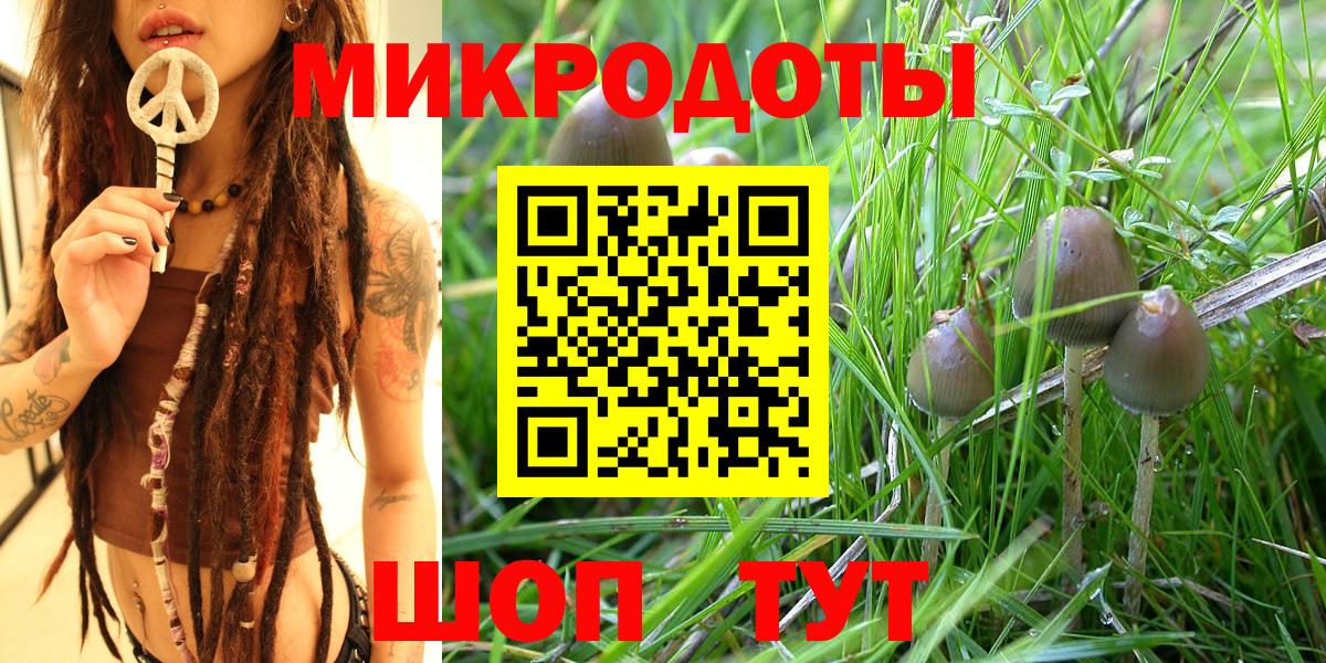 Галлюциногенные грибы Psilocybe  Псилоцибиновые грибы мицелий  Вход с VPN  Похвистнево 